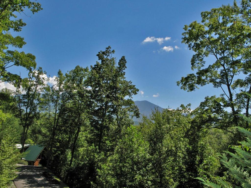 Bear'S Corner, 3 Bedrooms, Wifi, Pool Table, Hot Tub, Wifi, Sleeps 10 Gatlinburg Eksteriør billede